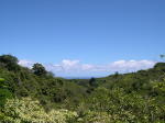 Click on one of the size names above to enlarge this image Click on one of the size names above to enlarge this image