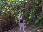 Click on one of the size names above to enlarge this image Click on one of the size names above to enlarge this image