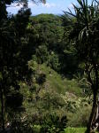 Click on one of the size names above to enlarge this image Click on one of the size names above to enlarge this image
