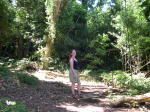 Click on one of the size names above to enlarge this image Click on one of the size names above to enlarge this image