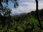 Click on one of the size names above to enlarge this image Click on one of the size names above to enlarge this image