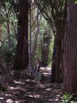 Click on one of the size names above to enlarge this image Click on one of the size names above to enlarge this image