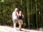 Click on one of the size names above to enlarge this image Click on one of the size names above to enlarge this image