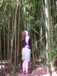 Click on one of the size names above to enlarge this image Click on one of the size names above to enlarge this image