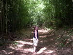 Click on one of the size names above to enlarge this image Click on one of the size names above to enlarge this image