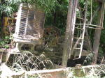 Click on one of the size names above to enlarge this image Click on one of the size names above to enlarge this image
