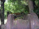 Click on one of the size names above to enlarge this image Click on one of the size names above to enlarge this image