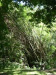 Click on one of the size names above to enlarge this image Click on one of the size names above to enlarge this image