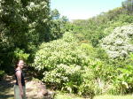 Click on one of the size names above to enlarge this image Click on one of the size names above to enlarge this image