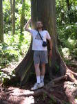 Click on one of the size names above to enlarge this image Click on one of the size names above to enlarge this image