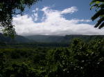 Click on one of the size names above to enlarge this image Click on one of the size names above to enlarge this image