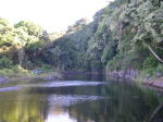 Click on one of the size names above to enlarge this image Click on one of the size names above to enlarge this image