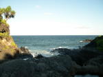 Click on one of the size names above to enlarge this image Click on one of the size names above to enlarge this image