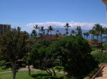 Click on one of the size names above to enlarge this image Click on one of the size names above to enlarge this image