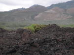 Click on one of the size names above to enlarge this image Click on one of the size names above to enlarge this image