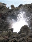 Click on one of the size names above to enlarge this image Click on one of the size names above to enlarge this image