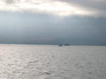 Click on one of the size names above to enlarge this image Click on one of the size names above to enlarge this image