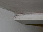 Click on one of the size names above to enlarge this image Click on one of the size names above to enlarge this image