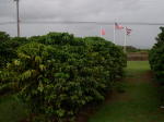 Click on one of the size names above to enlarge this image Click on one of the size names above to enlarge this image