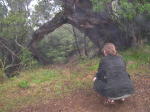 Click on one of the size names above to enlarge this image Click on one of the size names above to enlarge this image