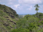 Click on one of the size names above to enlarge this image Click on one of the size names above to enlarge this image