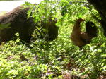 Click on one of the size names above to enlarge this image Click on one of the size names above to enlarge this image