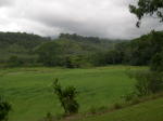 Click on one of the size names above to enlarge this image Click on one of the size names above to enlarge this image