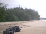 Click on one of the size names above to enlarge this image Click on one of the size names above to enlarge this image