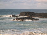 Click on one of the size names above to enlarge this image Click on one of the size names above to enlarge this image