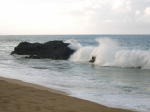 Click on one of the size names above to enlarge this image Click on one of the size names above to enlarge this image