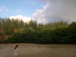Click on one of the size names above to enlarge this image Click on one of the size names above to enlarge this image