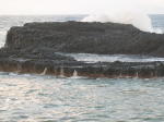 Click on one of the size names above to enlarge this image Click on one of the size names above to enlarge this image