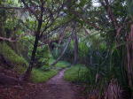 Click on one of the size names above to enlarge this image Click on one of the size names above to enlarge this image