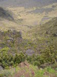 Click on one of the size names above to enlarge this image Click on one of the size names above to enlarge this image