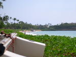 Click on one of the size names above to enlarge this image Click on one of the size names above to enlarge this image