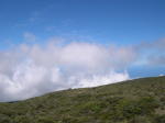 Click on one of the size names above to enlarge this image Click on one of the size names above to enlarge this image