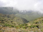 Click on one of the size names above to enlarge this image Click on one of the size names above to enlarge this image