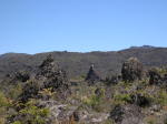 Click on one of the size names above to enlarge this image Click on one of the size names above to enlarge this image