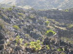 Click on one of the size names above to enlarge this image Click on one of the size names above to enlarge this image