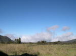 Click on one of the size names above to enlarge this image Click on one of the size names above to enlarge this image