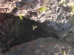 Click on one of the size names above to enlarge this image Click on one of the size names above to enlarge this image
