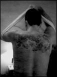 Click on one of the size names above to enlarge this image Click on one of the size names above to enlarge this image