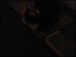 Click on one of the size names below to enlarge this image