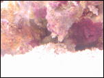 Click on one of the size names above to enlarge this image Click on one of the size names above to enlarge this image