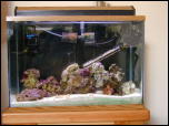 Click on one of the size names above to enlarge this image Click on one of the size names above to enlarge this image