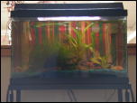 Click on one of the size names above to enlarge this image Click on one of the size names above to enlarge this image