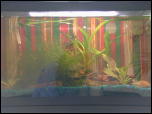 Click on one of the size names above to enlarge this image Click on one of the size names above to enlarge this image