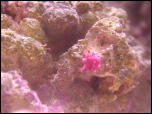Click on one of the size names above to enlarge this image Click on one of the size names above to enlarge this image