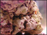 Click on one of the size names above to enlarge this image Click on one of the size names above to enlarge this image