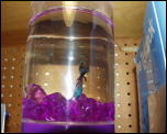 Click on one of the size names above to enlarge this image Click on one of the size names above to enlarge this image